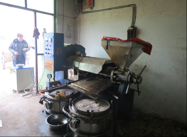 河南溫縣100型榨油機(jī)用戶